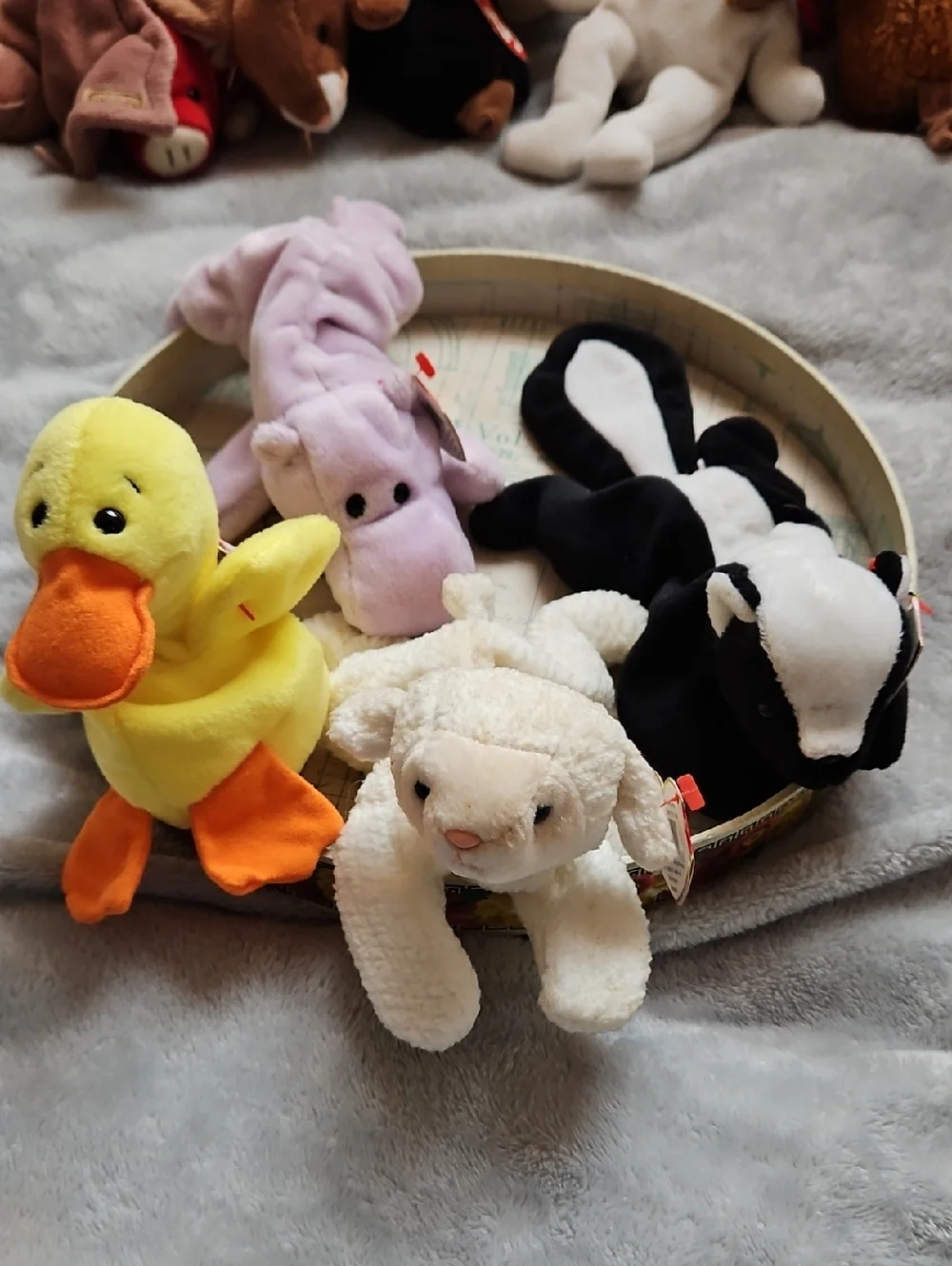 Vintage Ty Beanie Baby Lot of 16 4+lbs Collection  Bears Bat Hippo Duck & More - Picture 5 of 16